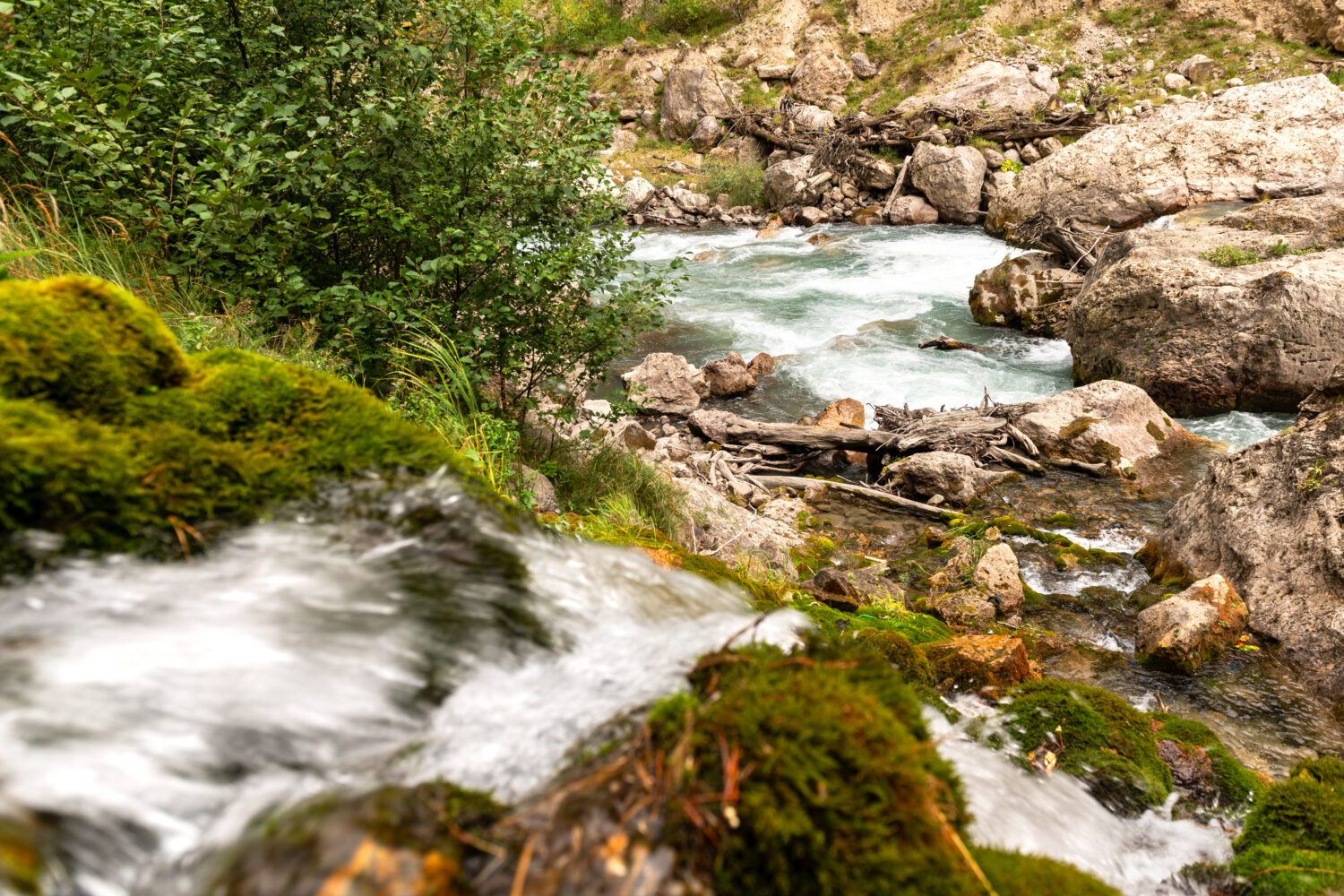 Река Асса, Ингушетия, экскурсии в горы Северного Кавказа