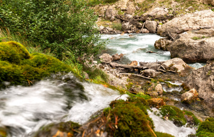 Река Асса, Ингушетия, экскурсии в горы Северного Кавказа