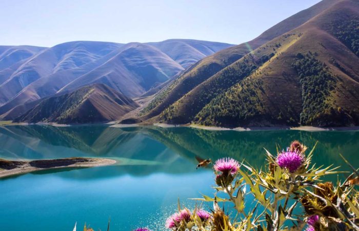Экскурсия "Горная Чечня I". Высокогорное озеро Кезеной-Ам.
